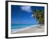 Worthing Beach on South Coast of Southern Parish of Christ Church, Barbados, Caribbean-Robert Francis-Framed Photographic Print