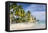 Worthing Beach, Worthing, Christ Church, Barbados, West Indies, Caribbean, Central America-Frank Fell-Framed Stretched Canvas