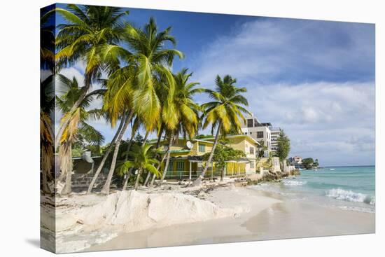 Worthing Beach, Worthing, Christ Church, Barbados, West Indies, Caribbean, Central America-Frank Fell-Stretched Canvas