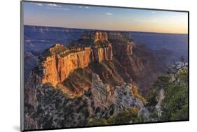 Wotans Throne at Cape Royal on the North Rim in Grand Canyon National Park, Arizona, USA-Chuck Haney-Mounted Photographic Print