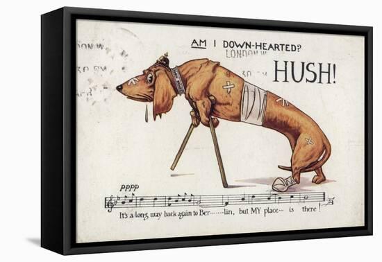 Wounded German Dachshund on Crutches-null-Framed Stretched Canvas