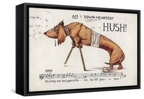 Wounded German Dachshund on Crutches-null-Framed Stretched Canvas