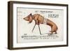 Wounded German Dachshund on Crutches-null-Framed Giclee Print