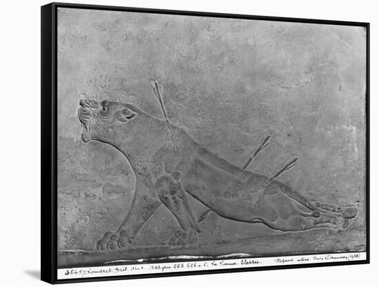 Wounded Lioness, Detail from a Relief Panel of Ashurbanipal II Killing Lions-null-Framed Stretched Canvas