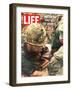 Wounded Marine, October 28, 1966-Larry Burrows-Framed Photographic Print