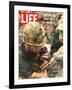 Wounded Marine, October 28, 1966-Larry Burrows-Framed Photographic Print