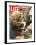 Wounded Marine, October 28, 1966-Larry Burrows-Framed Photographic Print