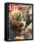 Wounded Marine, October 28, 1966-Larry Burrows-Framed Stretched Canvas