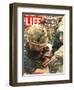 Wounded Marine, October 28, 1966-Larry Burrows-Framed Photographic Print