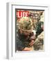 Wounded Marine, October 28, 1966-Larry Burrows-Framed Photographic Print