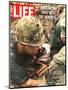 Wounded Marine, October 28, 1966-Larry Burrows-Mounted Photographic Print