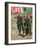 Wounded US Marine Helped to Safety by his Buddies During Fight with Viet Cong, July 2, 1965-Bill Eppridge-Framed Photographic Print