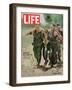 Wounded US Marine Helped to Safety by his Buddies During Fight with Viet Cong, July 2, 1965-Bill Eppridge-Framed Photographic Print