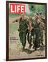 Wounded US Marine Helped to Safety by his Buddies During Fight with Viet Cong, July 2, 1965-Bill Eppridge-Framed Photographic Print