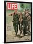 Wounded US Marine Helped to Safety by his Buddies During Fight with Viet Cong, July 2, 1965-Bill Eppridge-Framed Photographic Print