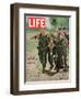 Wounded US Marine Helped to Safety by his Buddies During Fight with Viet Cong, July 2, 1965-Bill Eppridge-Framed Photographic Print