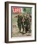 Wounded US Marine Helped to Safety by his Buddies During Fight with Viet Cong, July 2, 1965-Bill Eppridge-Framed Photographic Print