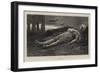 Wounded-John Evan Hodgson-Framed Giclee Print