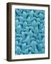 Woven Cloth-Micro Discovery-Framed Photographic Print