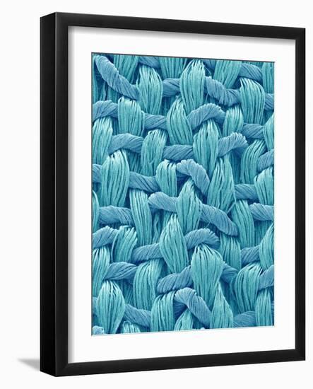 Woven Cloth-Micro Discovery-Framed Photographic Print