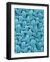 Woven Cloth-Micro Discovery-Framed Photographic Print