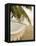 Woven Hammock under Palm Tree-Merrill Images-Framed Stretched Canvas