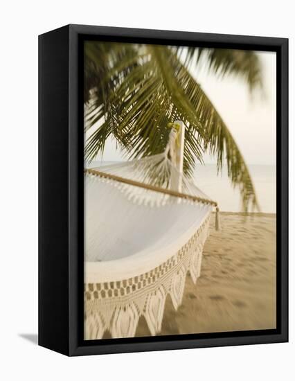 Woven Hammock under Palm Tree-Merrill Images-Framed Stretched Canvas