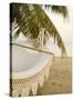 Woven Hammock under Palm Tree-Merrill Images-Stretched Canvas