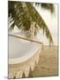Woven Hammock under Palm Tree-Merrill Images-Mounted Premium Photographic Print