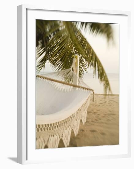 Woven Hammock under Palm Tree-Merrill Images-Framed Photographic Print