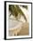 Woven Hammock under Palm Tree-Merrill Images-Framed Photographic Print