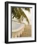 Woven Hammock under Palm Tree-Merrill Images-Framed Photographic Print