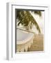 Woven Hammock under Palm Tree-Merrill Images-Framed Photographic Print