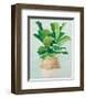 Woven Palm II-Julia Purinton-Framed Art Print