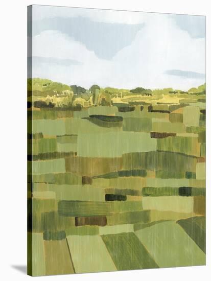 Woven Pasture I-Grace Popp-Stretched Canvas