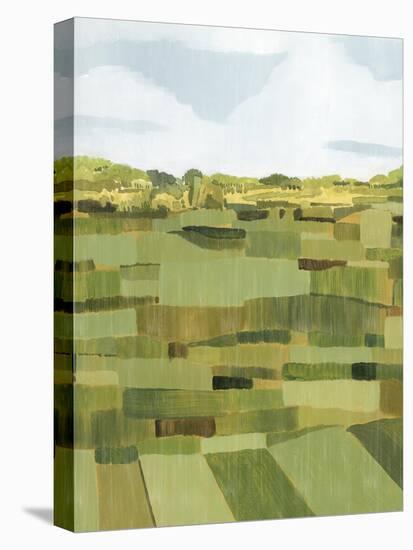 Woven Pasture I-Grace Popp-Stretched Canvas