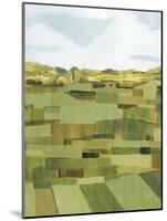 Woven Pasture I-Grace Popp-Mounted Art Print