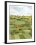 Woven Pasture I-Grace Popp-Framed Art Print