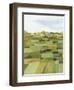 Woven Pasture II-Grace Popp-Framed Art Print