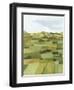 Woven Pasture II-Grace Popp-Framed Art Print
