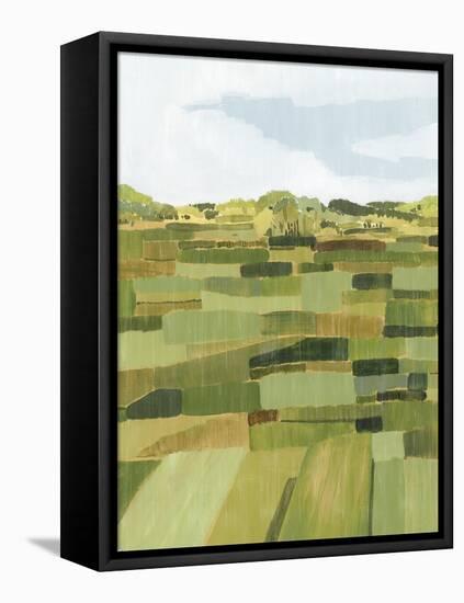 Woven Pasture II-Grace Popp-Framed Stretched Canvas