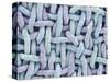 Woven Synthetic Fabric-Micro Discovery-Stretched Canvas