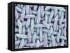 Woven Synthetic Fabric-Micro Discovery-Framed Stretched Canvas