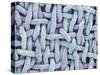 Woven Synthetic Fabric-Micro Discovery-Stretched Canvas
