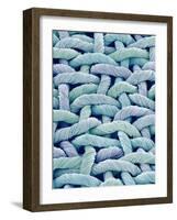 Woven Synthetic Fabric-Micro Discovery-Framed Photographic Print