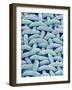 Woven Synthetic Fabric-Micro Discovery-Framed Photographic Print