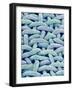 Woven Synthetic Fabric-Micro Discovery-Framed Photographic Print