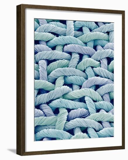 Woven Synthetic Fabric-Micro Discovery-Framed Photographic Print