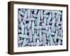 Woven Synthetic Fabric-Micro Discovery-Framed Photographic Print