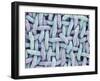 Woven Synthetic Fabric-Micro Discovery-Framed Photographic Print